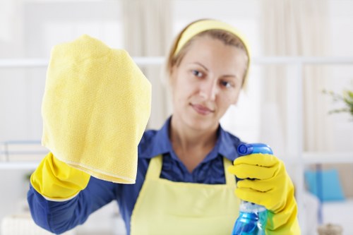 Professional sofa cleaning in a Chiswick living room
