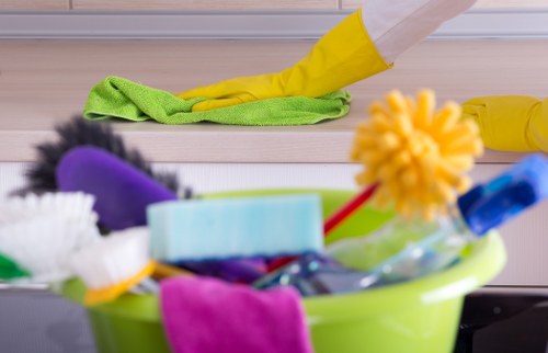 Domestic cleaning service for a modern Chiswick home