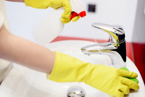Professional office cleaning services in a Chiswick workplace