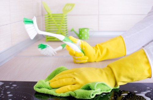 Deep rug cleaning equipment in Chiswick
