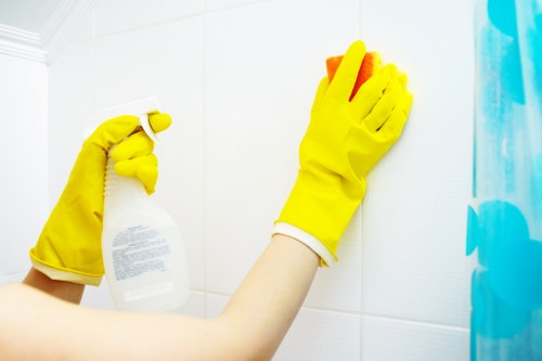 Image representing carpet, rug and upholstery cleaning