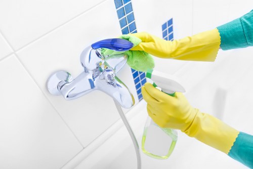 Seasonal domestic cleaning in Chiswick for a fresh home