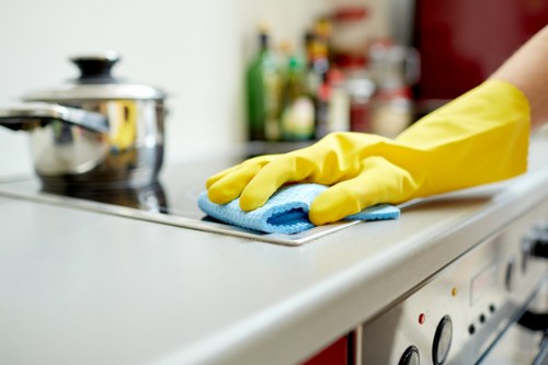 Eco-friendly oven cleaning tools used in Chiswick