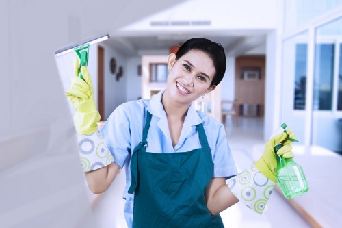 Living room deep cleaning service in Chiswick with dust removal